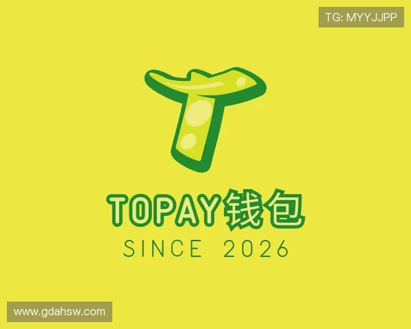 了解TOPAY钱包